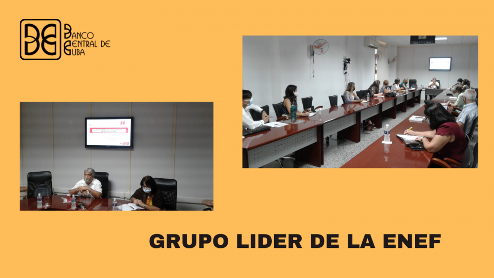 Imagen relacionada con la noticia :Sesionó encuentro de trabajo del Grupo Líder de la ENEF